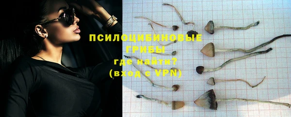 эйфоретик Алексин