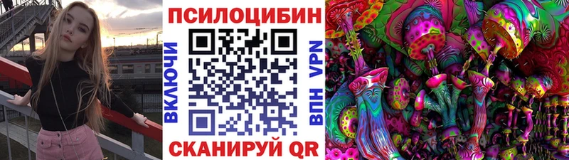 Псилоцибиновые грибы мицелий Усть-Лабинск