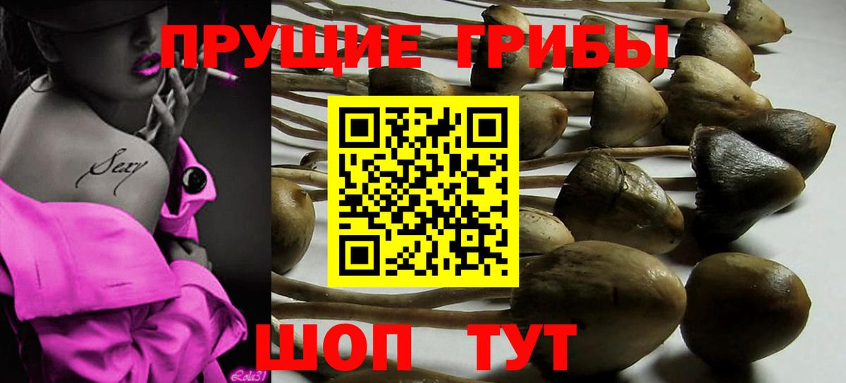 Галлюциногенные грибы мицелий Усть-Лабинск